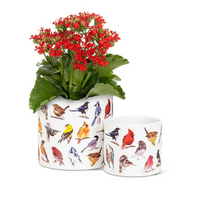 Small North American Birds Planter