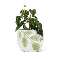 Round Design Leaf Planter