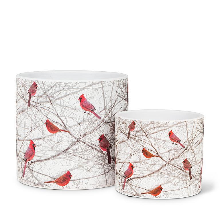 Small Cardinals in Bush Planter