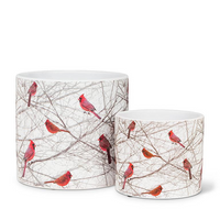 Small Cardinals in Bush Planter