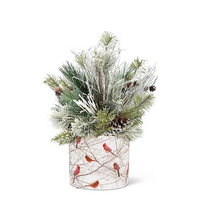 Small Cardinals in Bush Planter