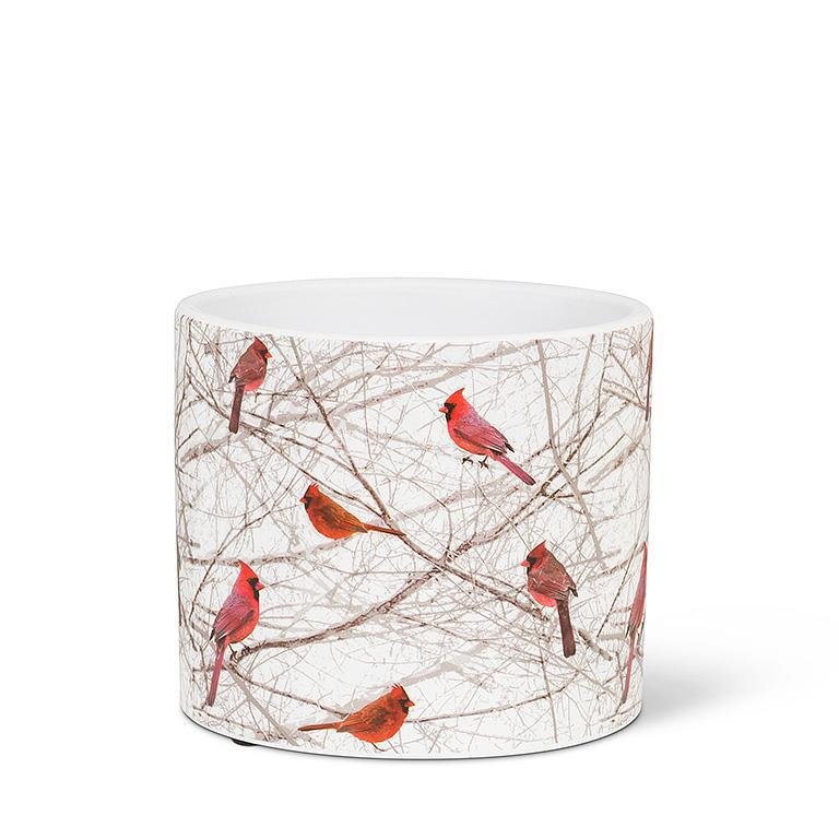 Small Cardinals in Bush Planter