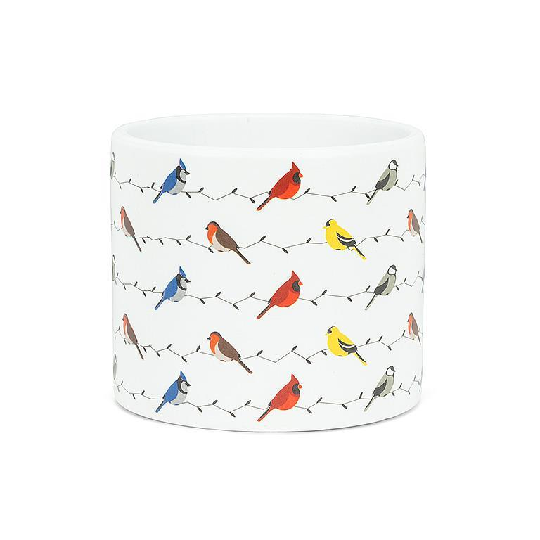 SM Multi Birds Planter