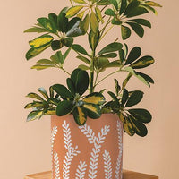 Large Leaf Sprig Planter