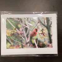 Pearl on a String Blank Card