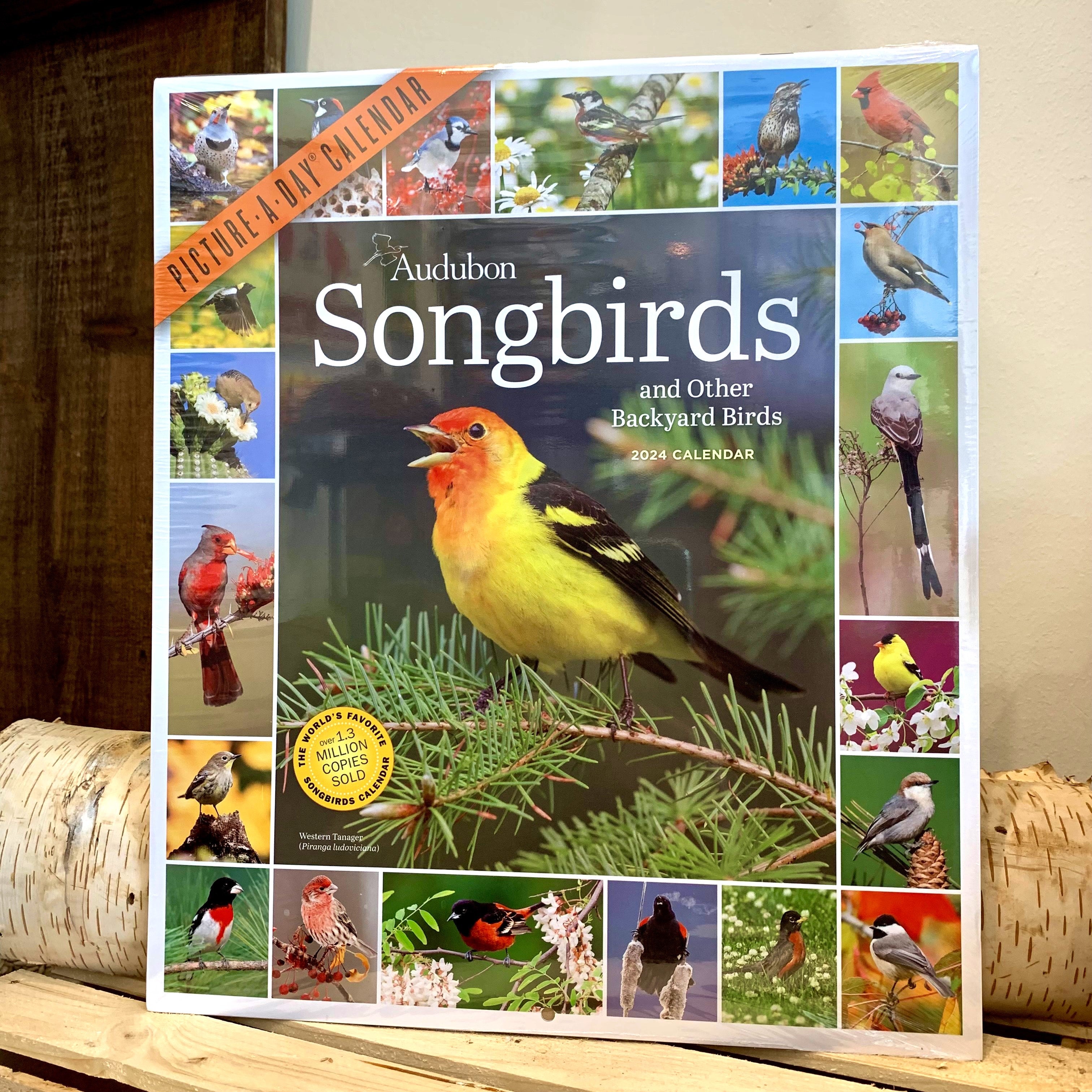 Audubon Songbirds Calendar 2025