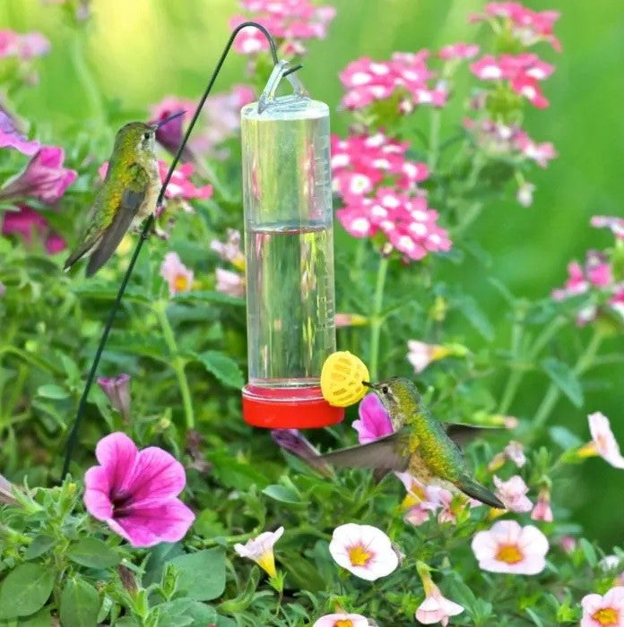 Perky Pet - Hanging Basket Hummingbird Feeder