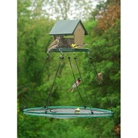 Large Seed Hoop