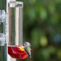 Window Hummingbird Feeder