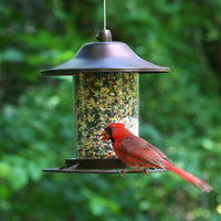 Small Panorama Feeder