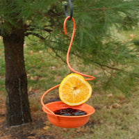 Orange Oriole Feeder