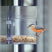 Small Clear Window Feeder