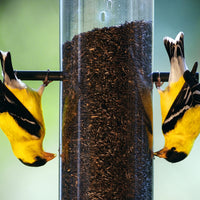 Upside-Down Thistle Feeder