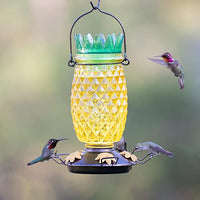 Pineapple Hummingbird Feeder
