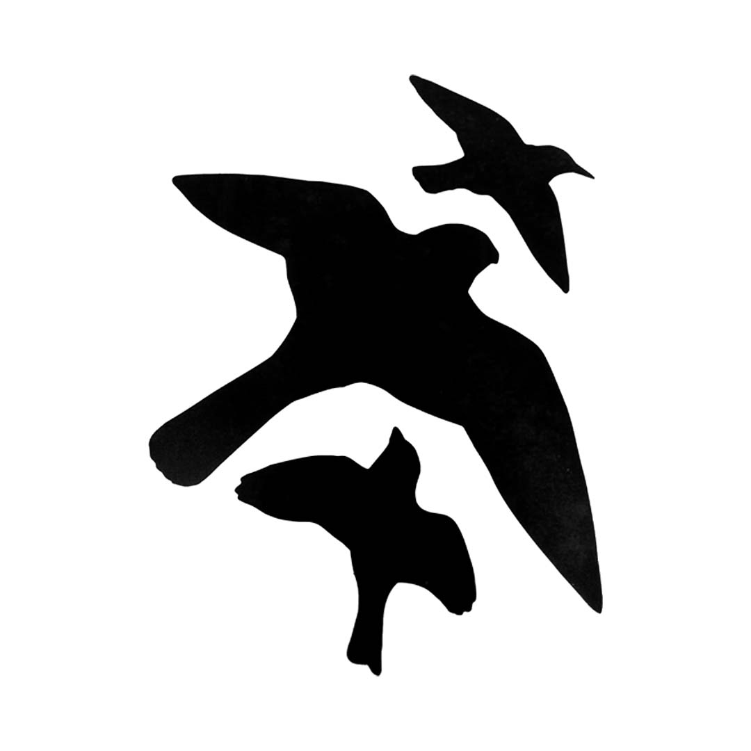 Bird Alert Decals