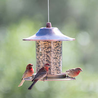 Copper Panorama Bird Feeder