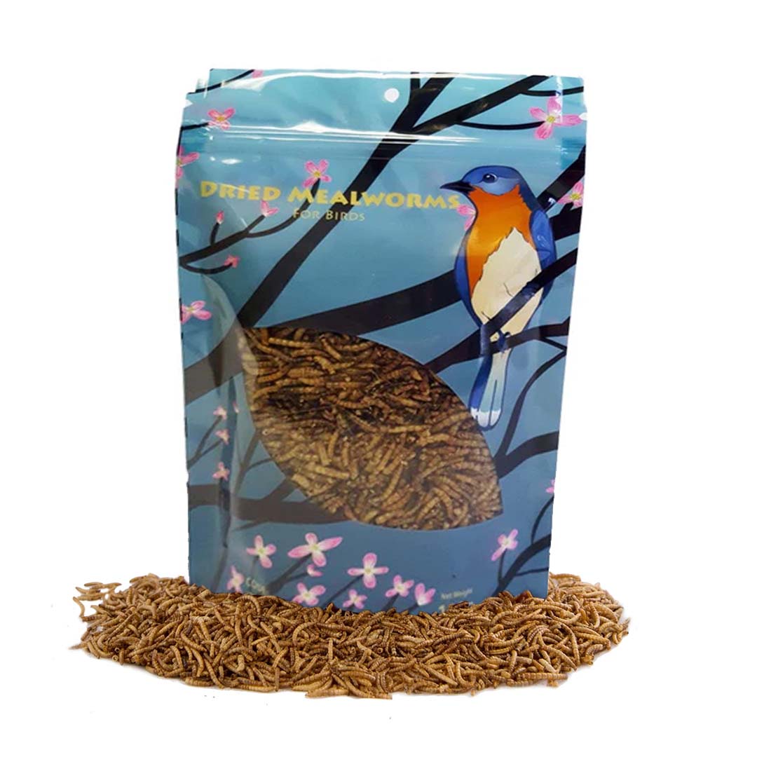 Dried Meal Worms