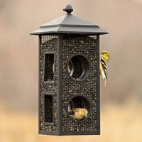 Fly Though Wild Bird Feeder