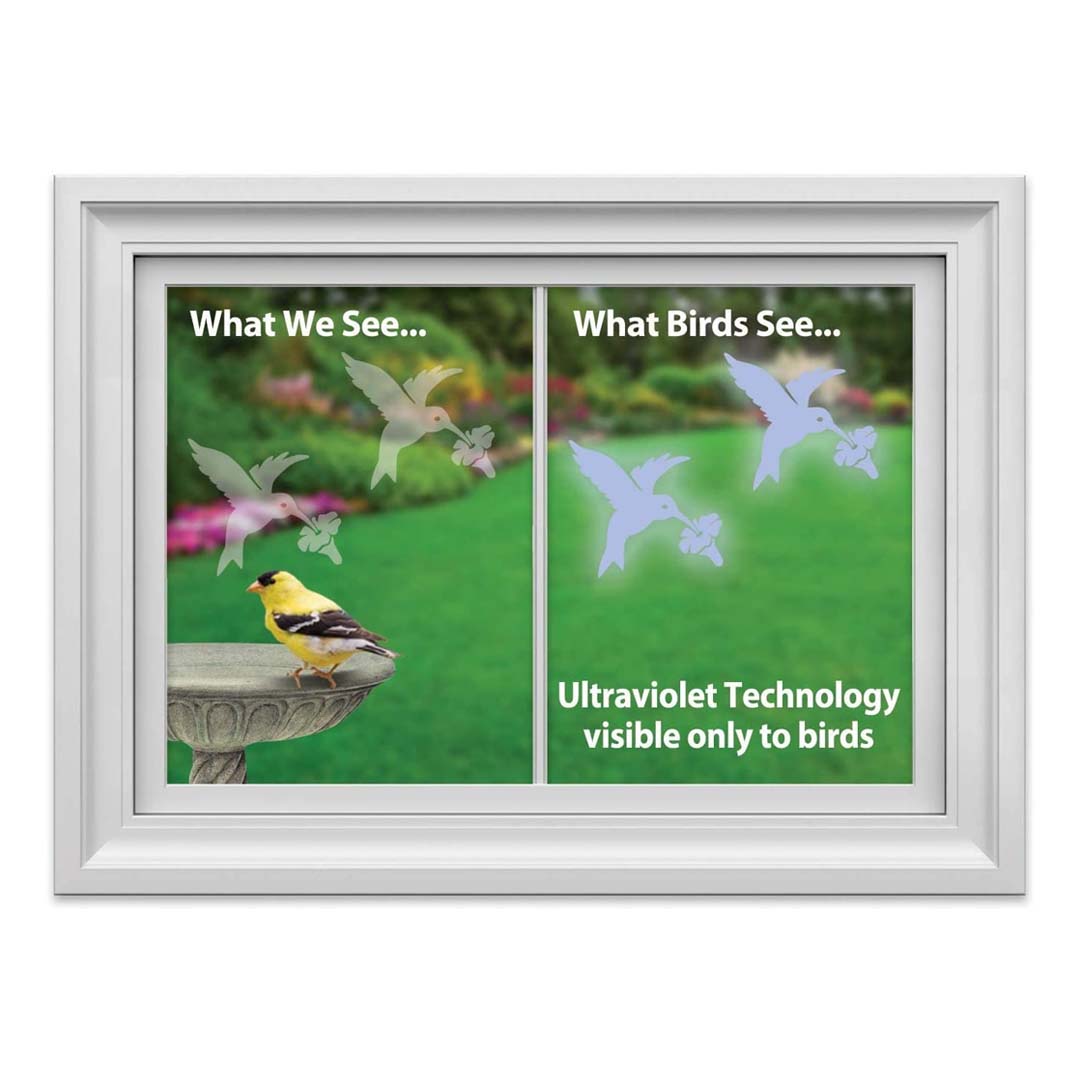 Hummingbird Window Alert Anti-Collision Decal