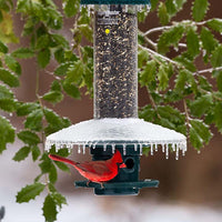 Squirrel Buster Plus Weather Guard