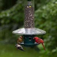 Squirrel Buster Plus Weather Guard