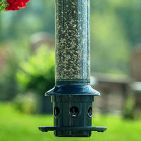 Squirrel Buster Plus with Cardinal Ring