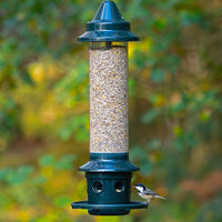 Squirrel Buster Plus with Cardinal Ring