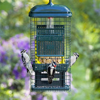 Squirrel Buster Suet Feeder