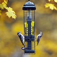 Squirrel Buster Suet Feeder