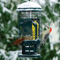 Squirrel Buster Suet Feeder