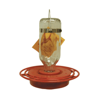 Best Glass Hummingbird Feeder