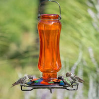 Classic Glass Oriole Feeder