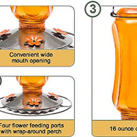 Classic Glass Oriole Feeder