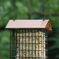 Coppertop Single Suet Feeder