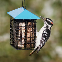 Double Suet Feeder