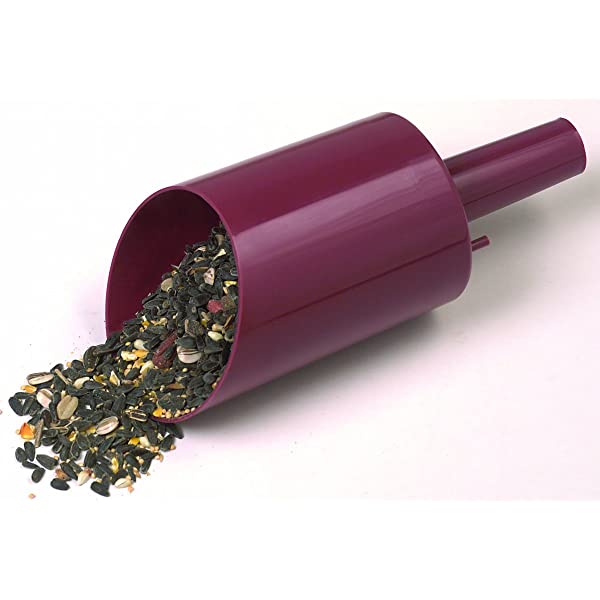 Red Seed Scoop