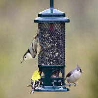 Squirrel Buster Standard