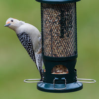 Squirrel Buster Standard