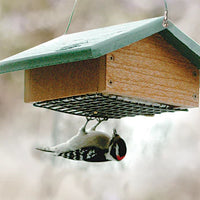 Cedar Upside Down Suet Feeder