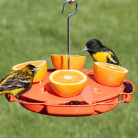 Classic Oriole Feeder