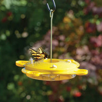 Butterfly Feeder