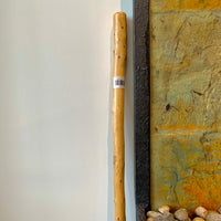 Walking Stick by Earl's Bush & Beachworks