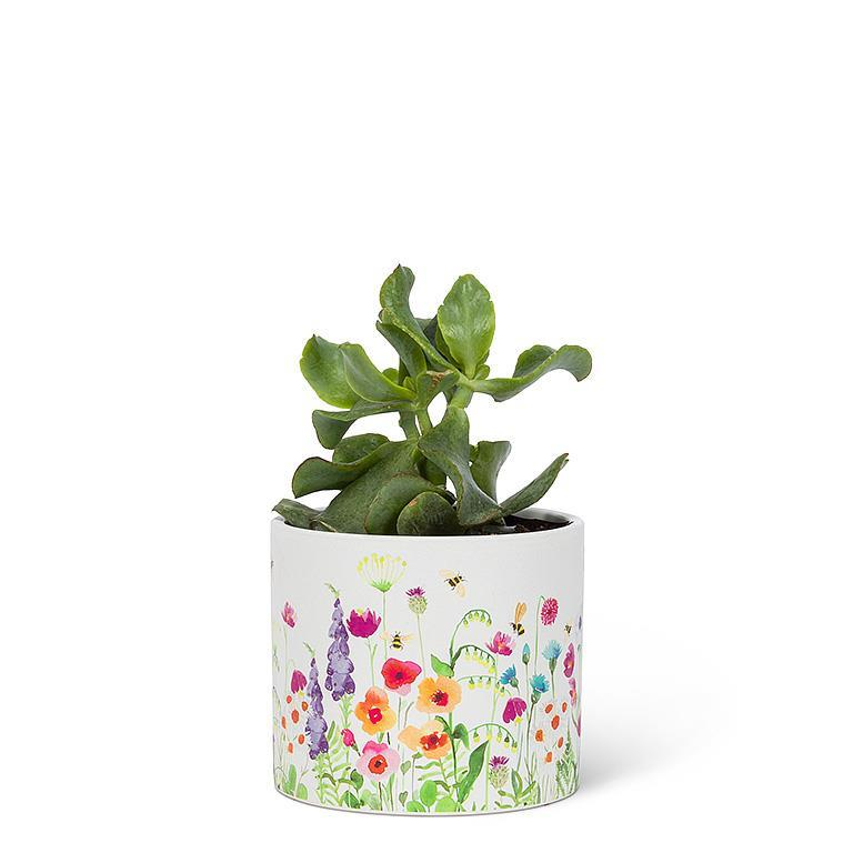 SM Bee Garden Planter