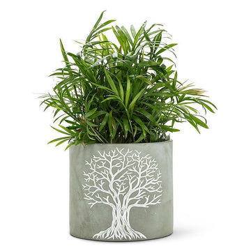 Tree of Life Planter