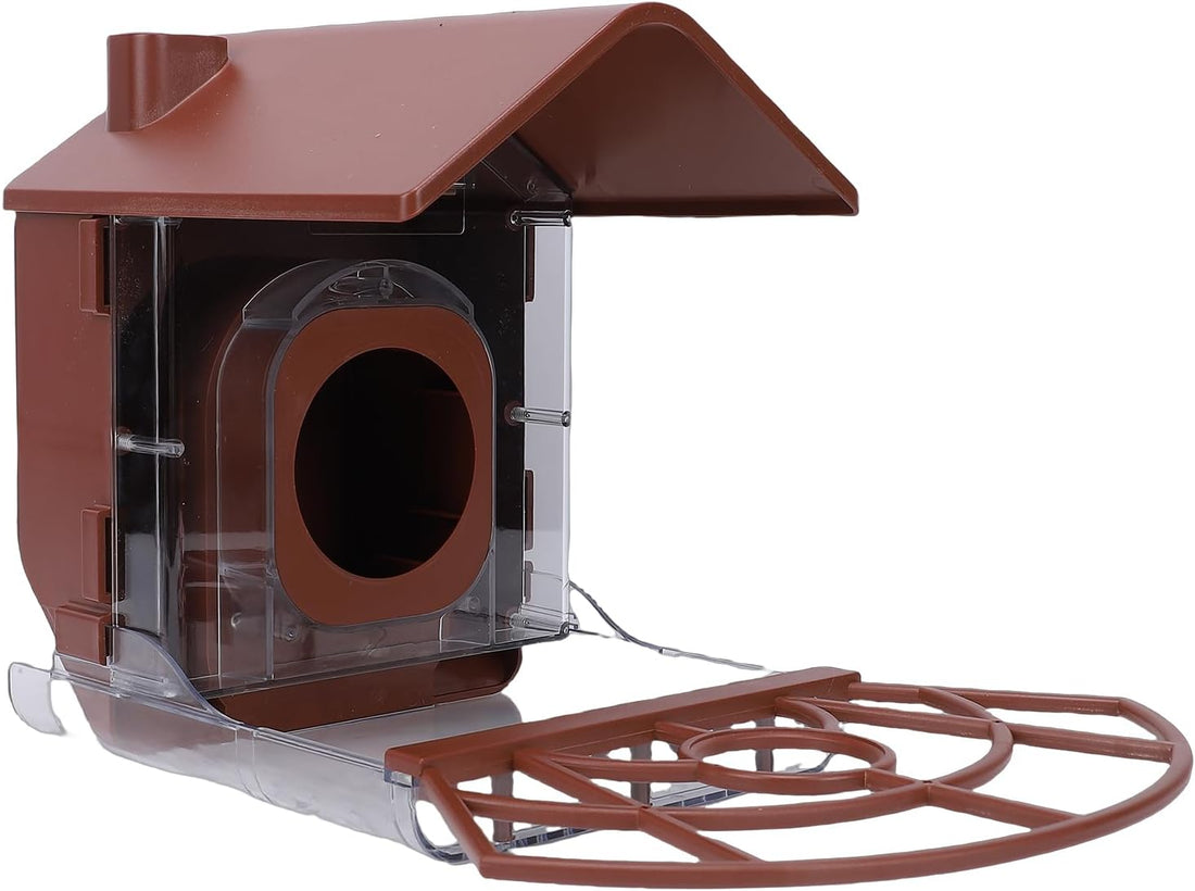 Camera, Bird Feeder