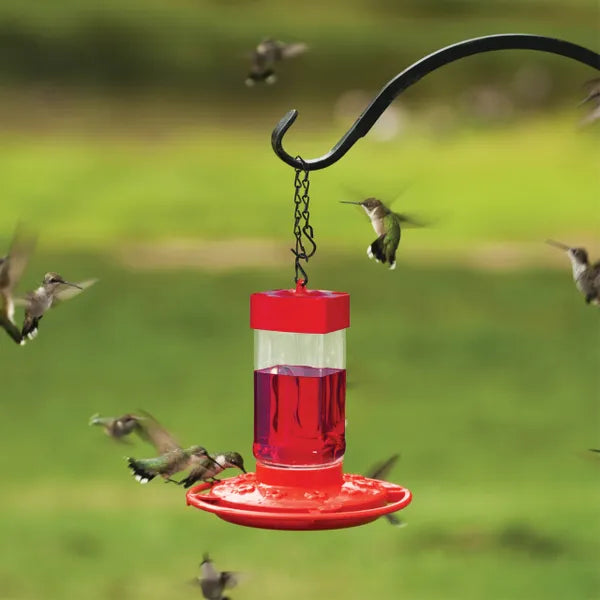 Red Square First Nature Hummingbird Feeder