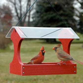 Going Green: Fly Through Feeder