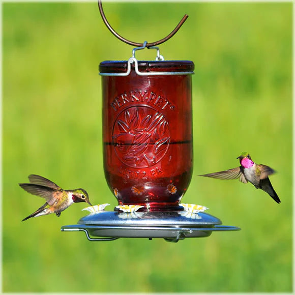 Red Glass Mason Jar Hummingbird Feeder