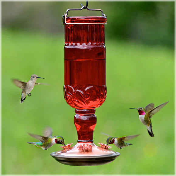 Red Antique Glass Bottle Hummingbird Feeder