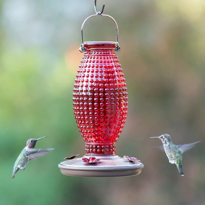 Red Hobtail Hummingbird Feeder